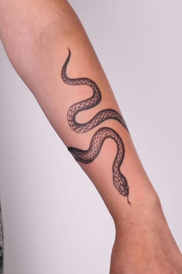 Blackwork Snake Tattoo