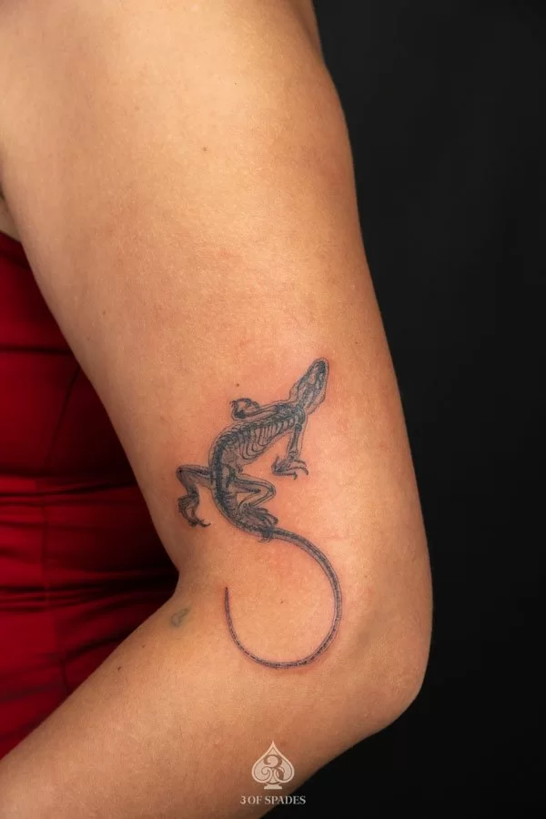 Gecko Tattoo Inspired