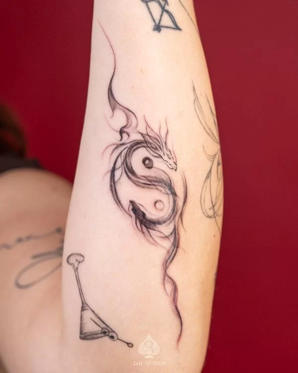 Smoke Abstract Yinyang Dragon