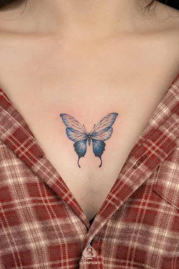 Blue Butterfly