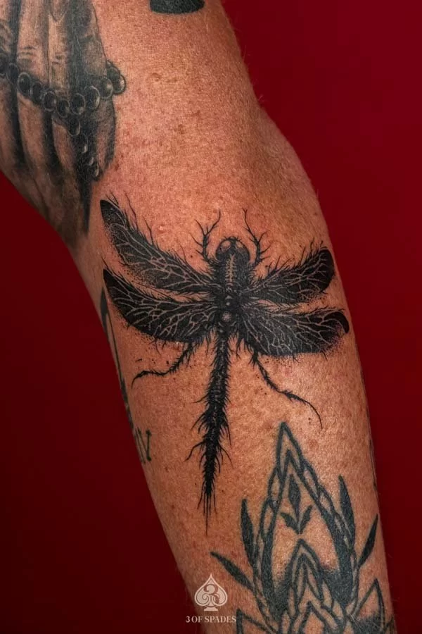 Blackwork Dragon Fly