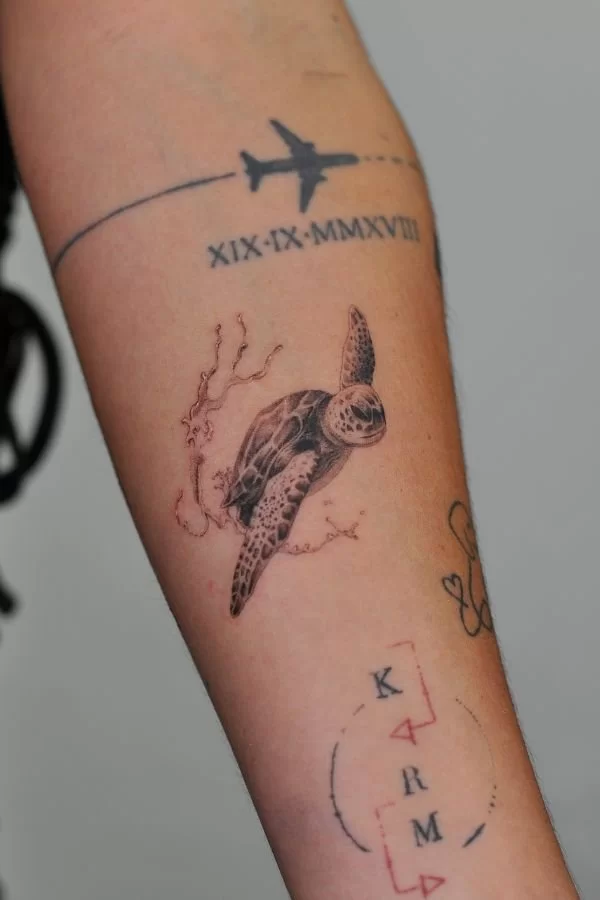 Turtle Relism Water Splash